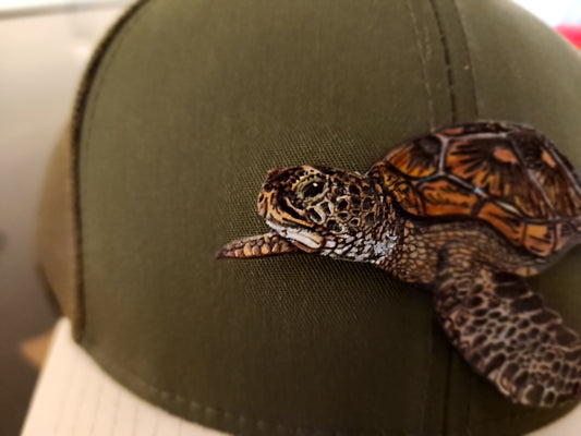 Turtle - Leather Hand Painted - Decky Hat