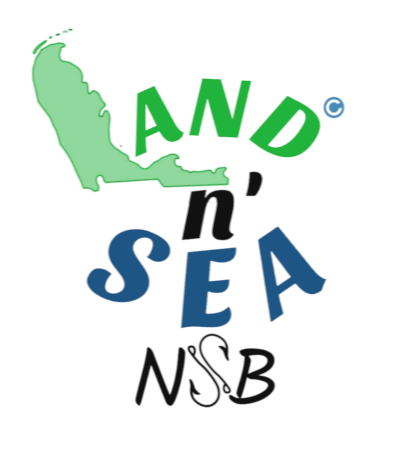 https://landnseansb.com/cdn/shop/files/SmallLogo.png?v=1665525239&width=1500